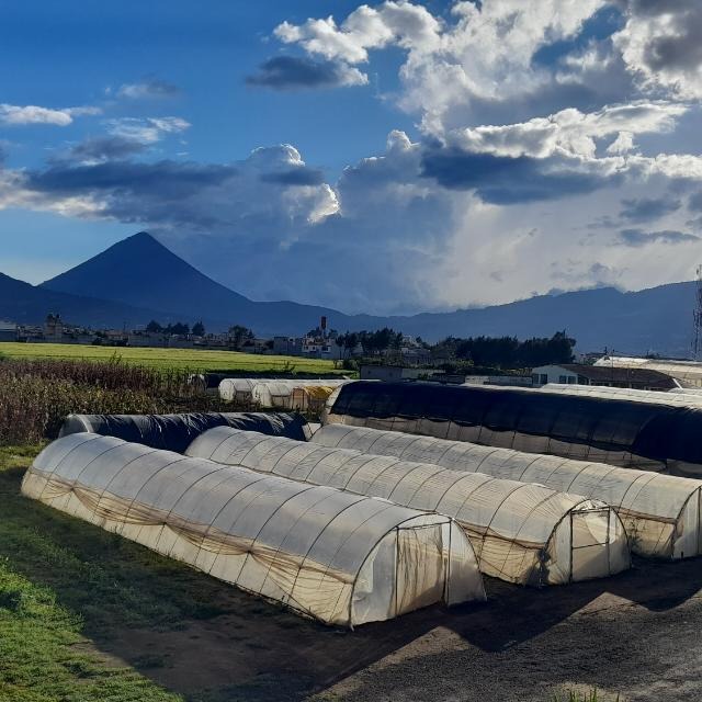 Liderazgo en investigación